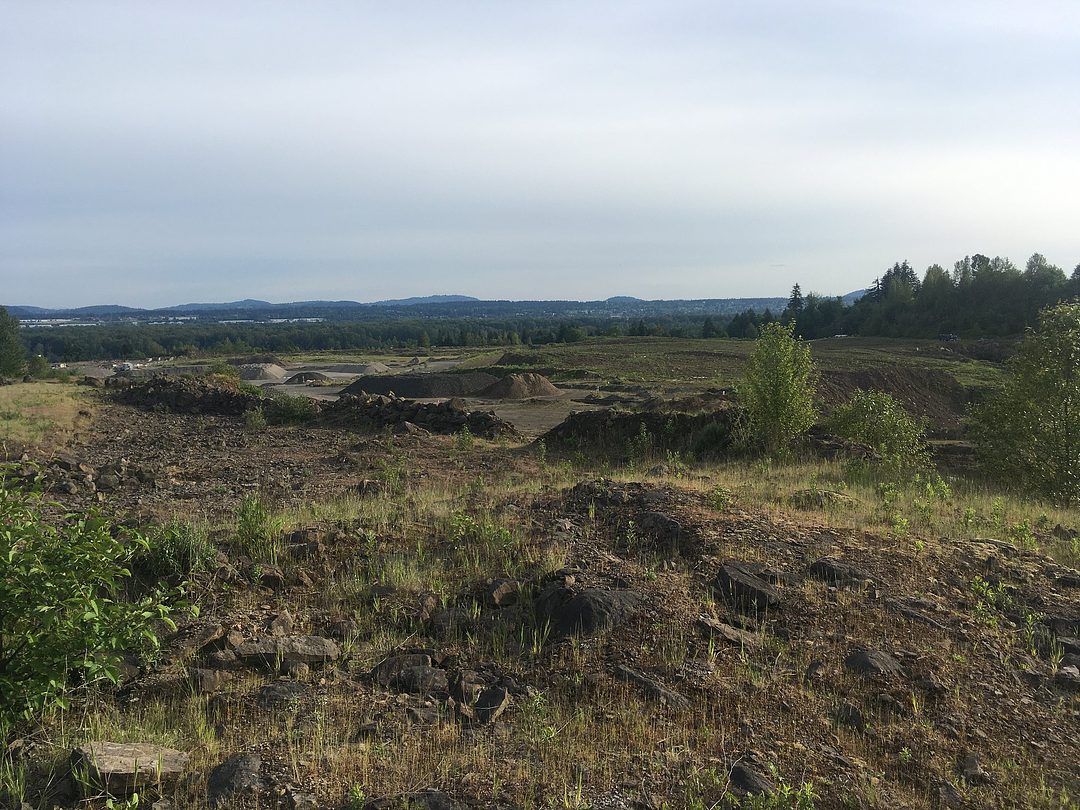 The Quarry