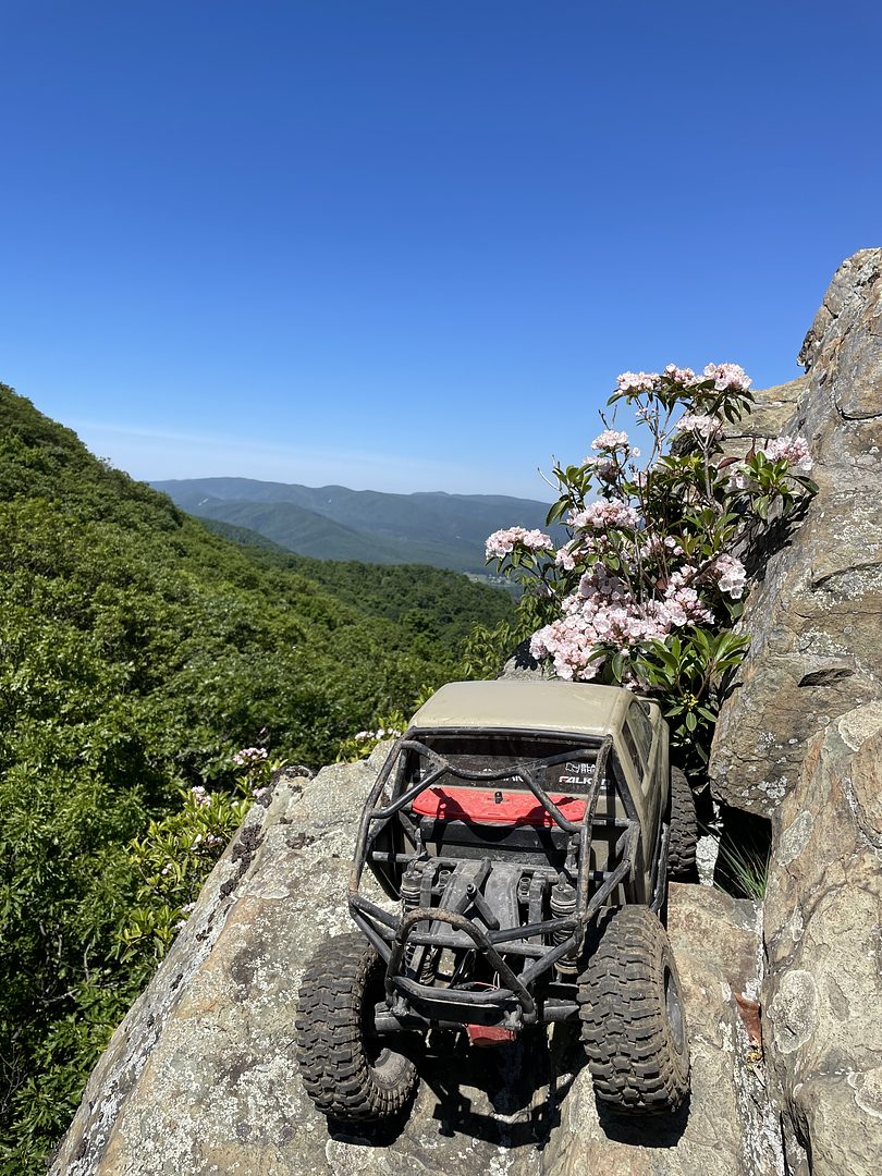Humpback rocks