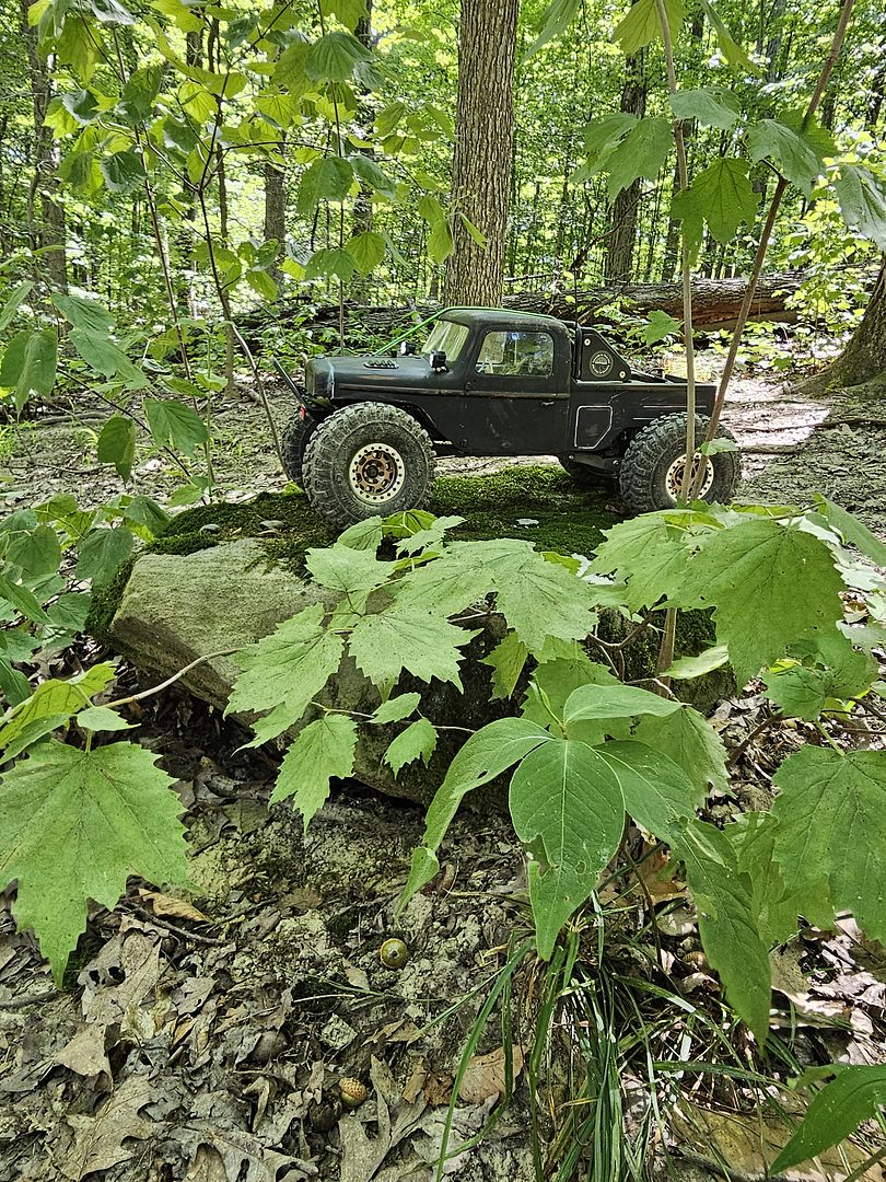 Deer Lick Cave Trail