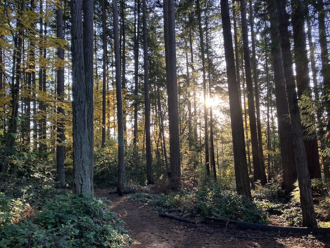 South Woods Park