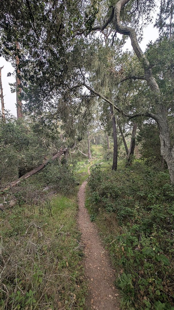 Jacks Peak Adjacent 