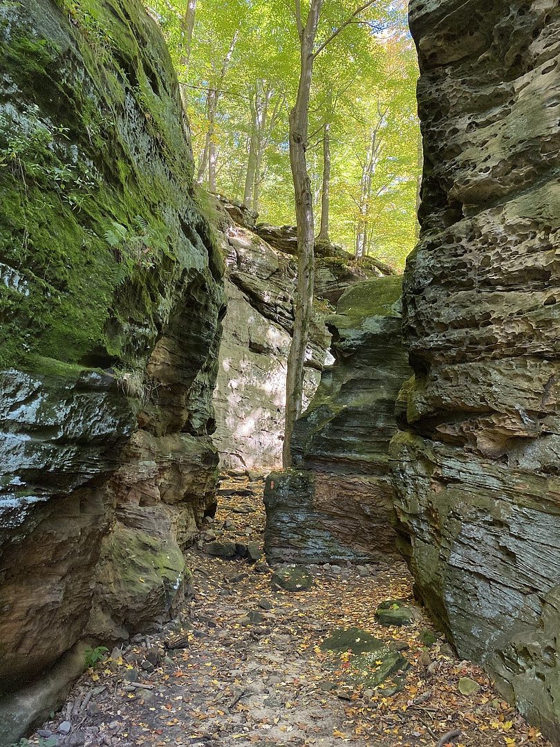 Top o'Ledge Trail