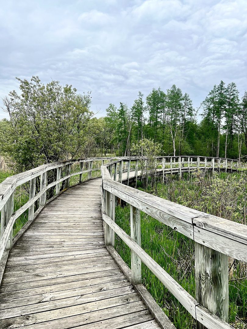 Glenwood Children's Park