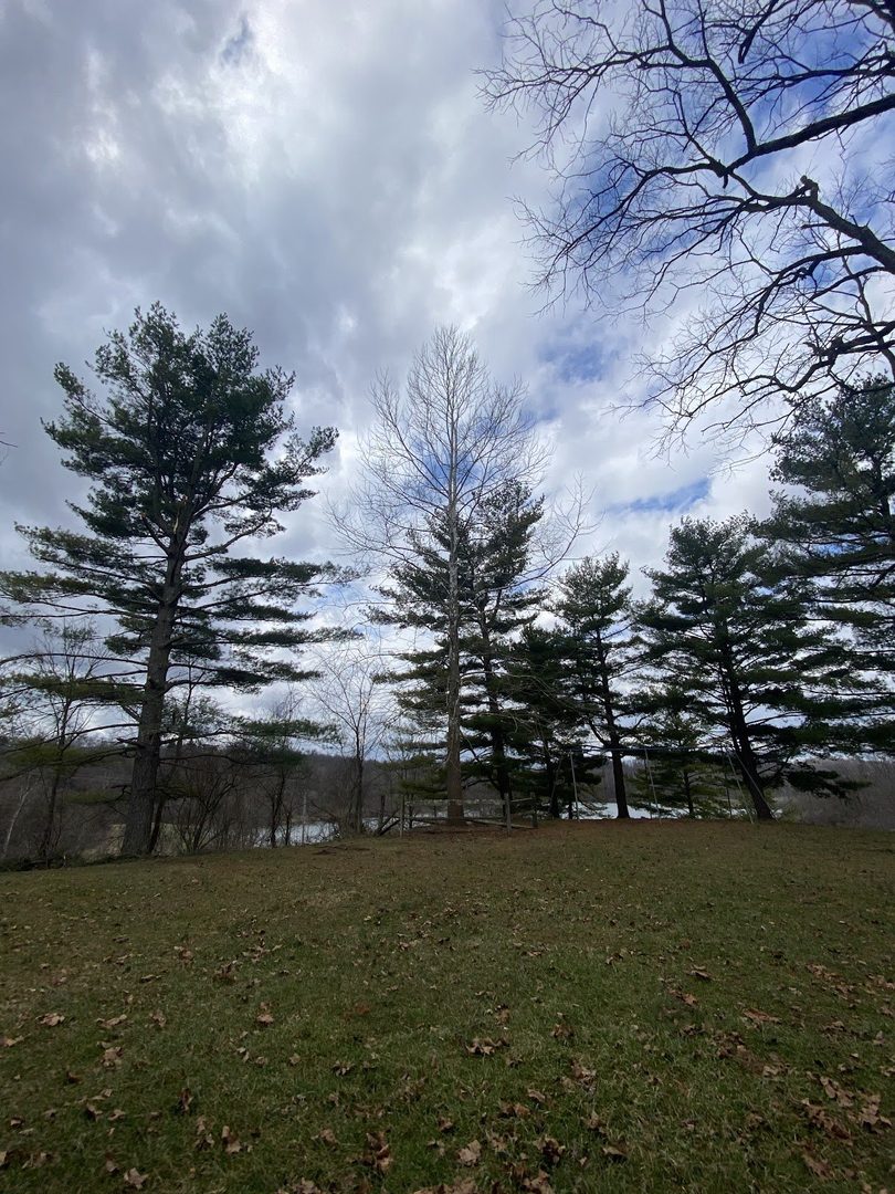 Friendship Park