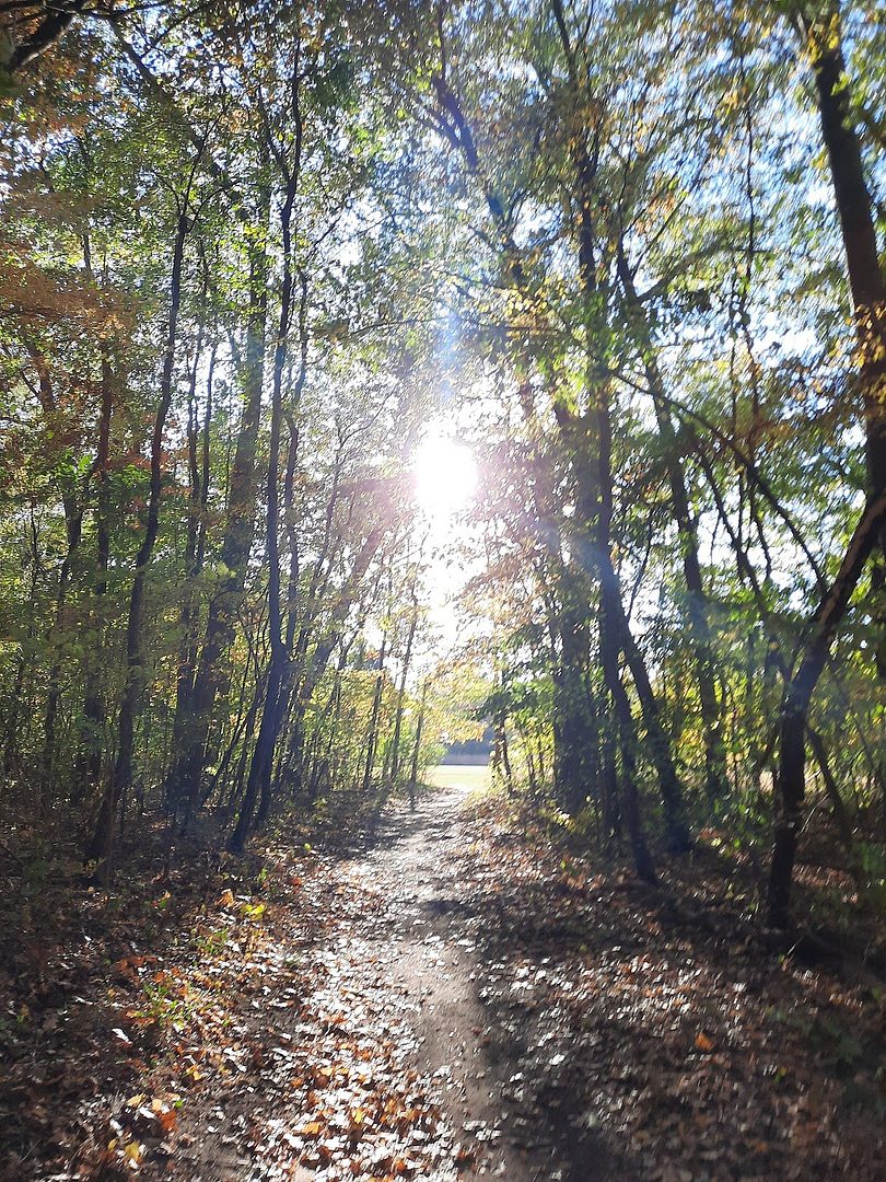 Heritage park Trails