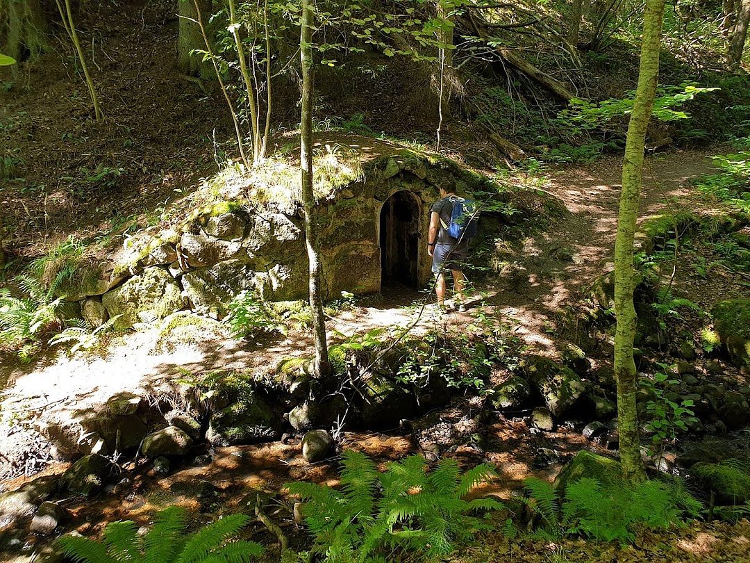 Getåravinen