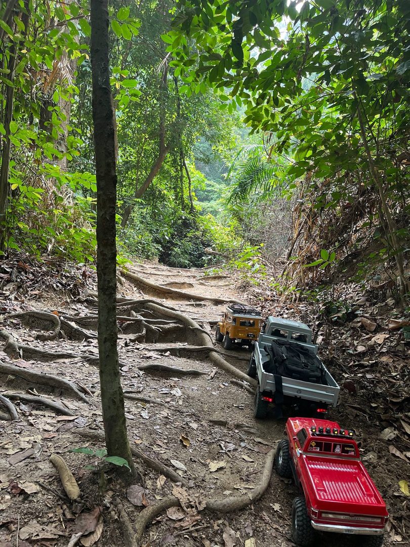 Bukit 300