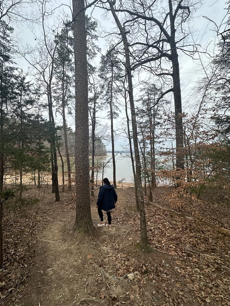 Seed Orchard Trail System, And Beach