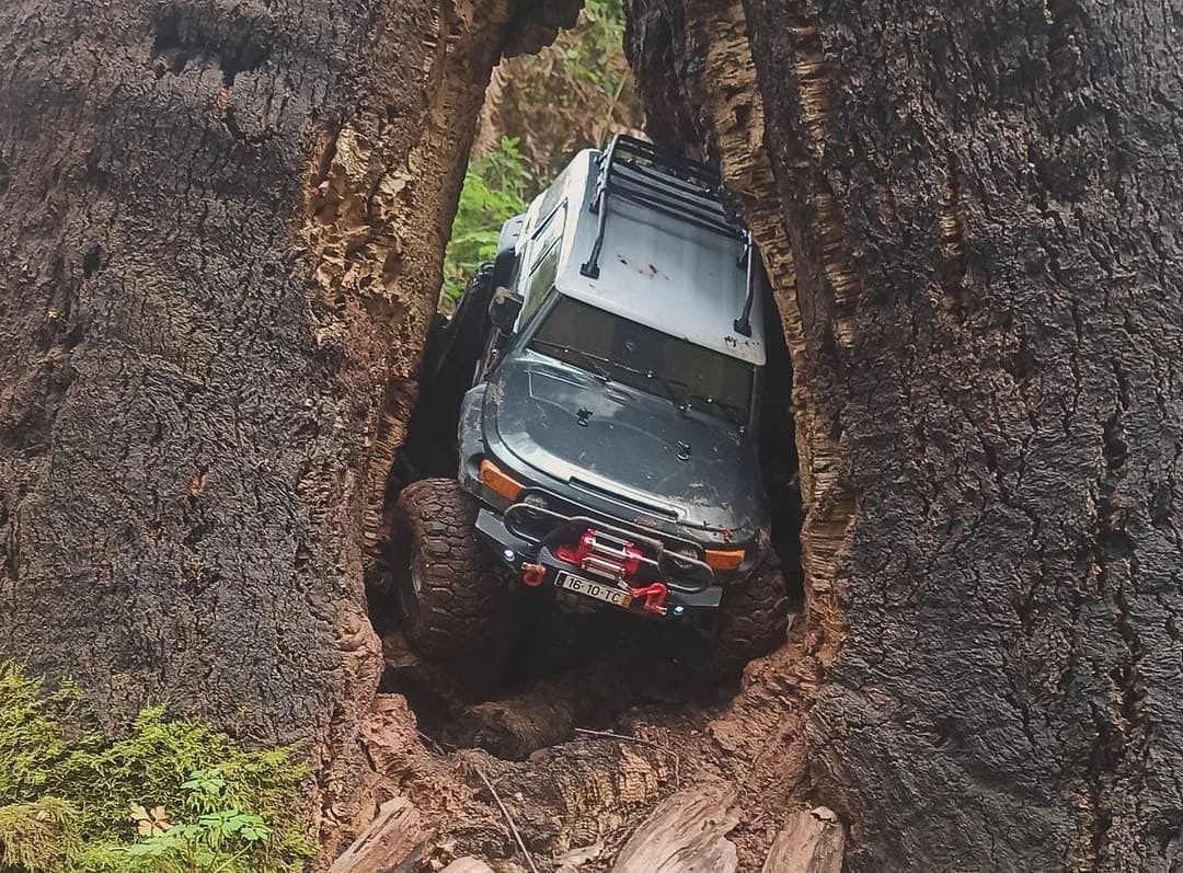 Toyota FJ Cruiser