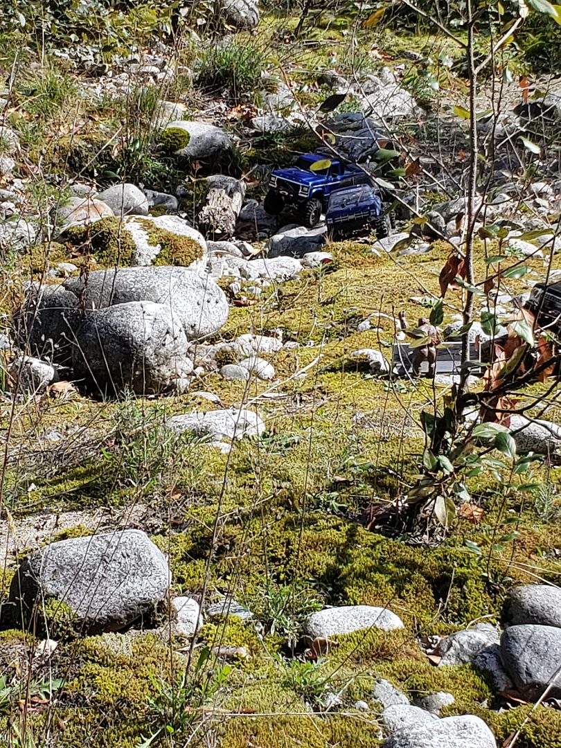 Norrish Creek
