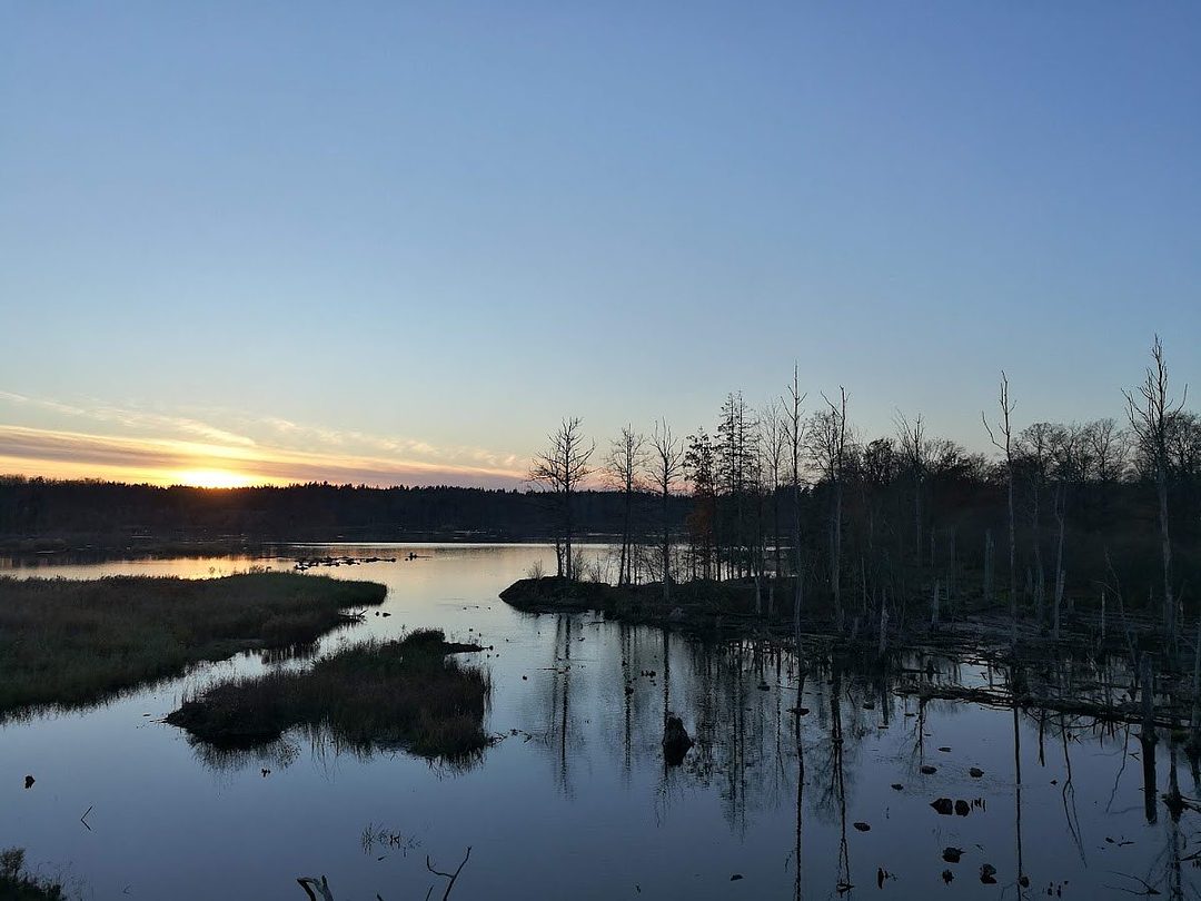Rödberget, Eklandskapet