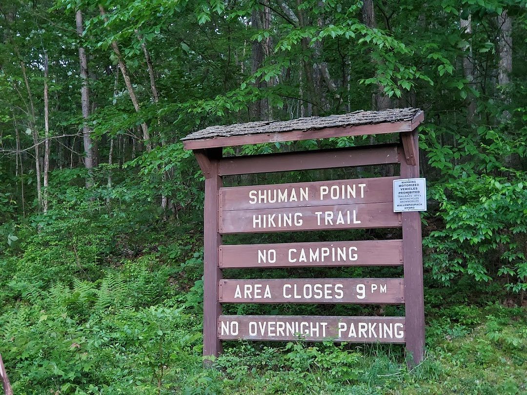 Shumans point 