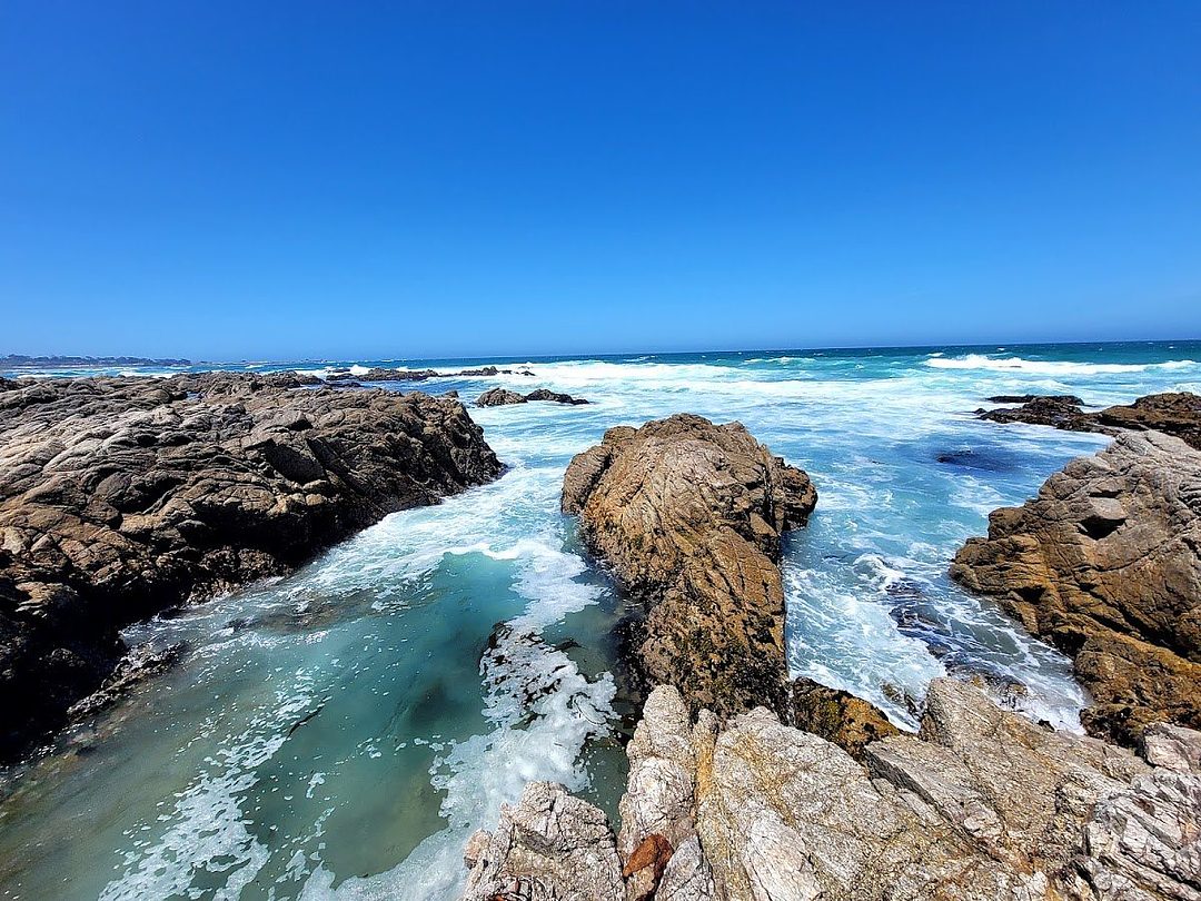 Asilomar Trail