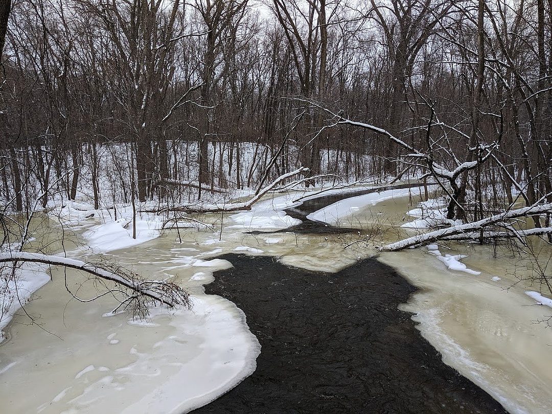 Locke County Park