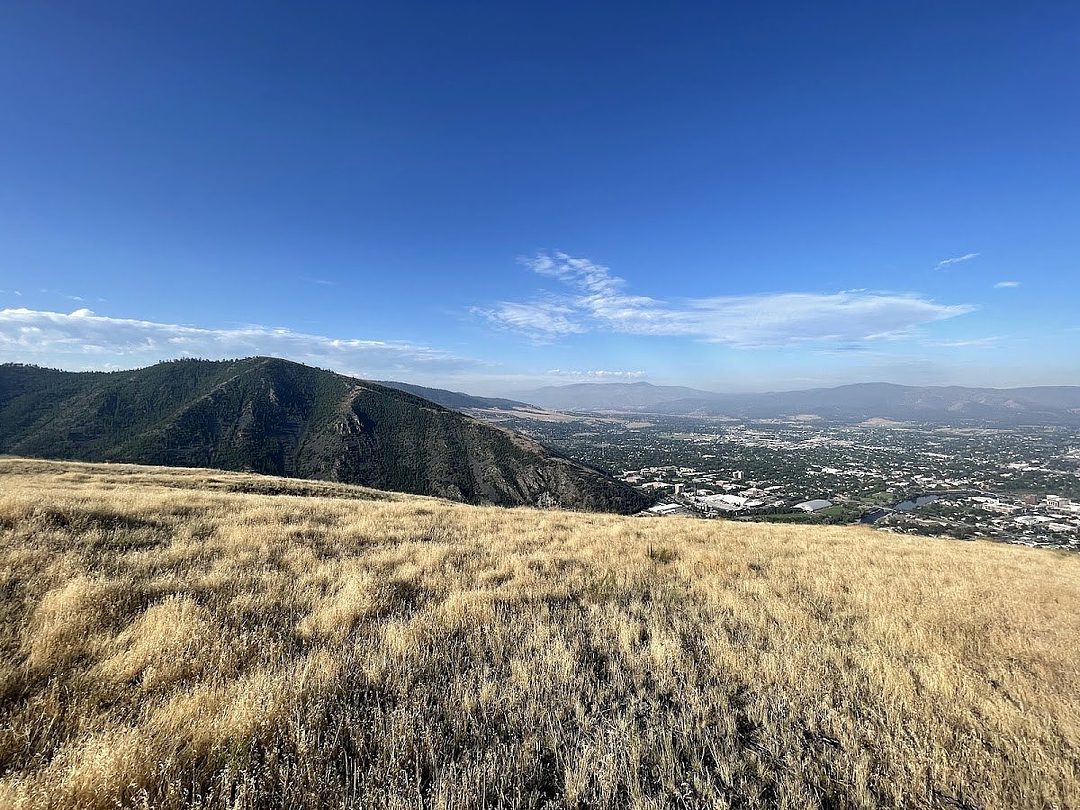 Greenough 