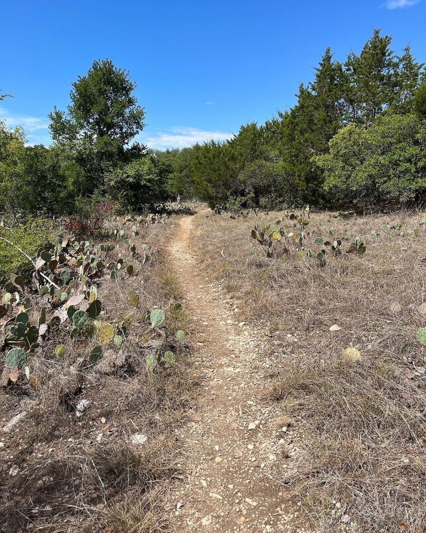 Sawyer Park Trail