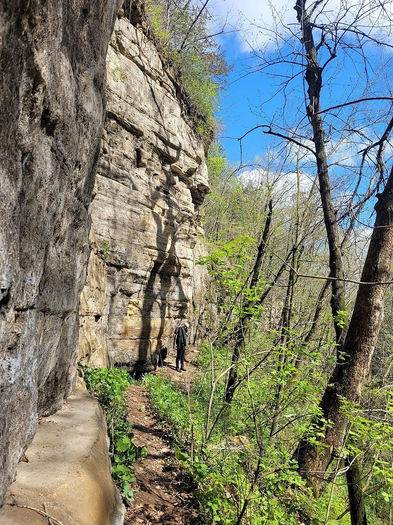 Fairy Falls