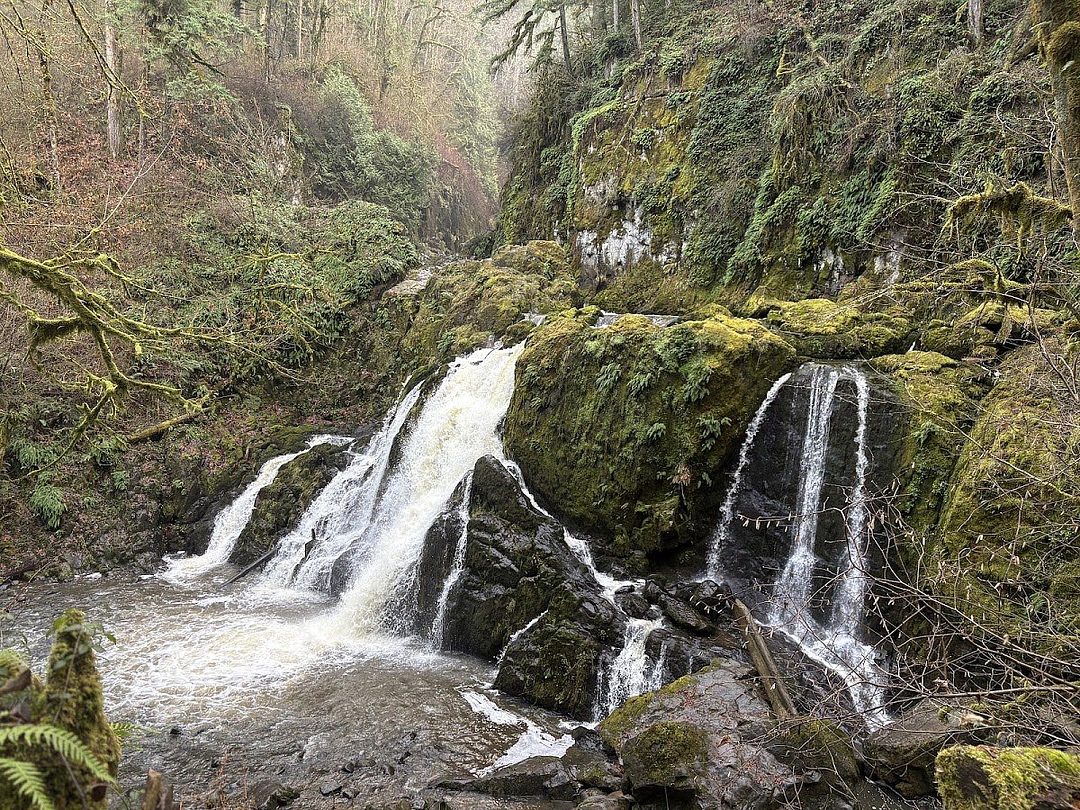 Little Mashel Falls Trail (Bottom)