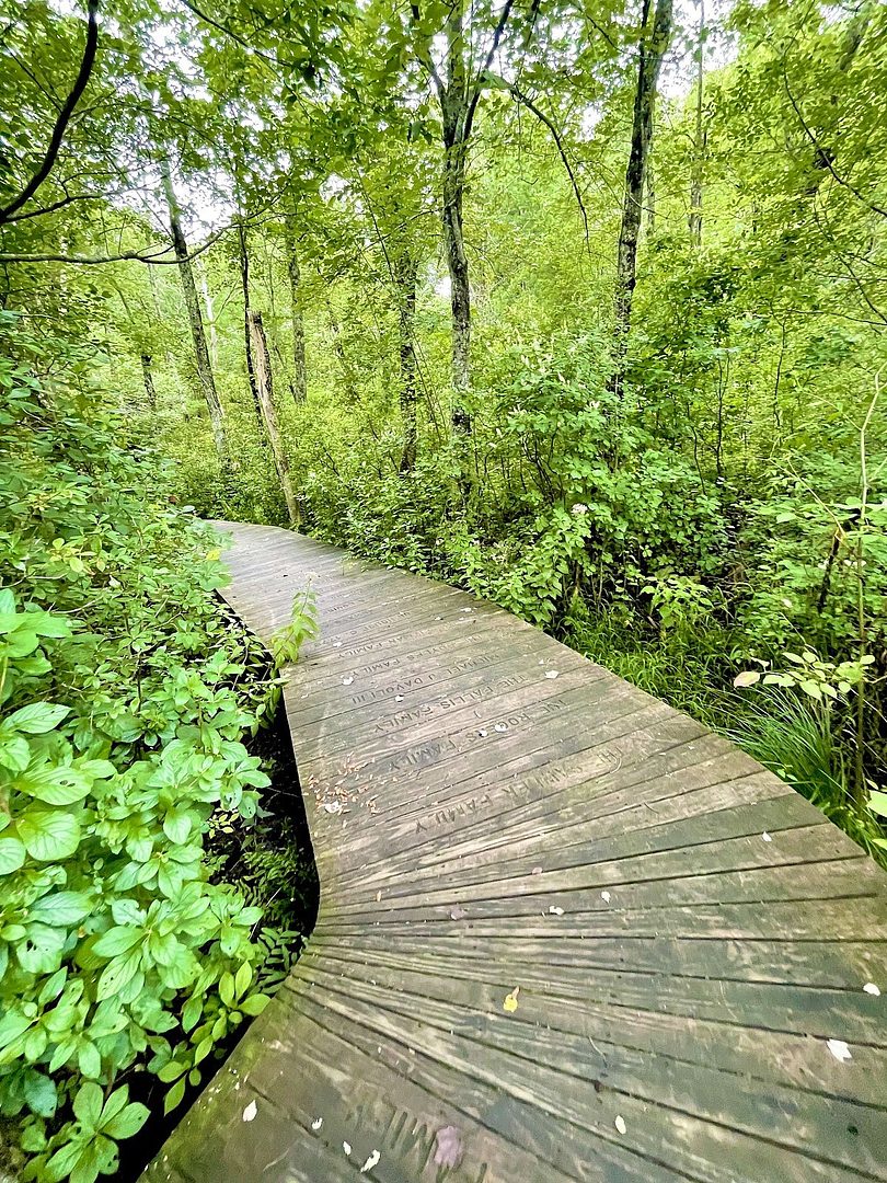 Cato’s Ridge conservation 