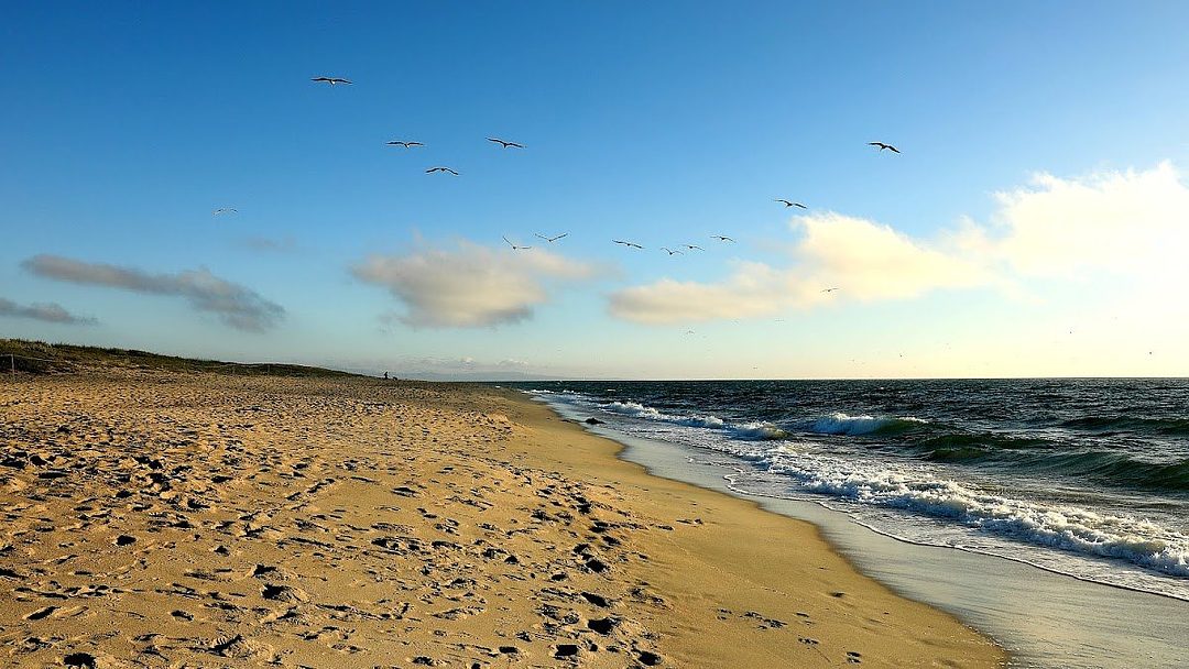 Moss Landing