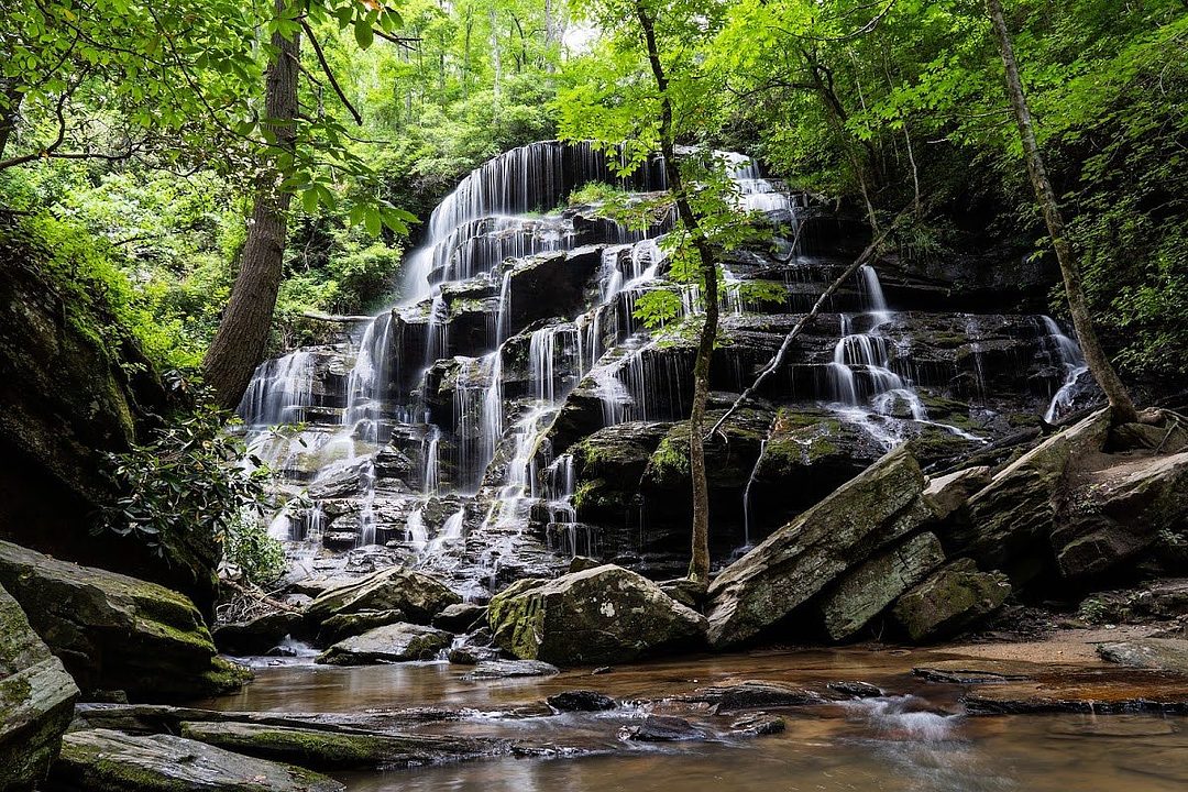 Yellow Branch Falls And Endurance Trail
