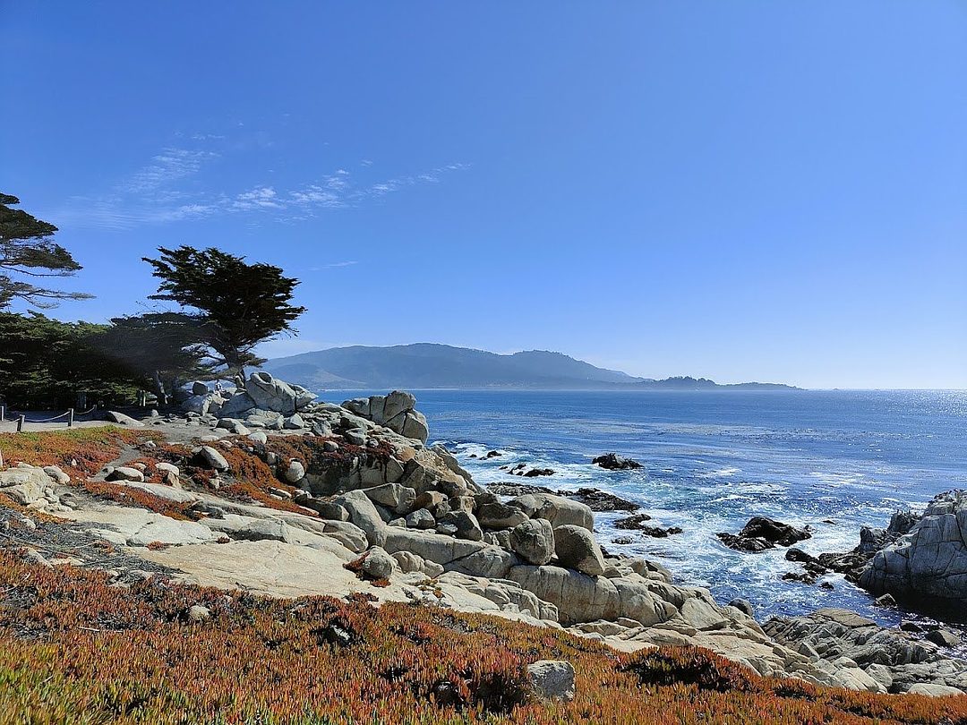 Pescadero point
