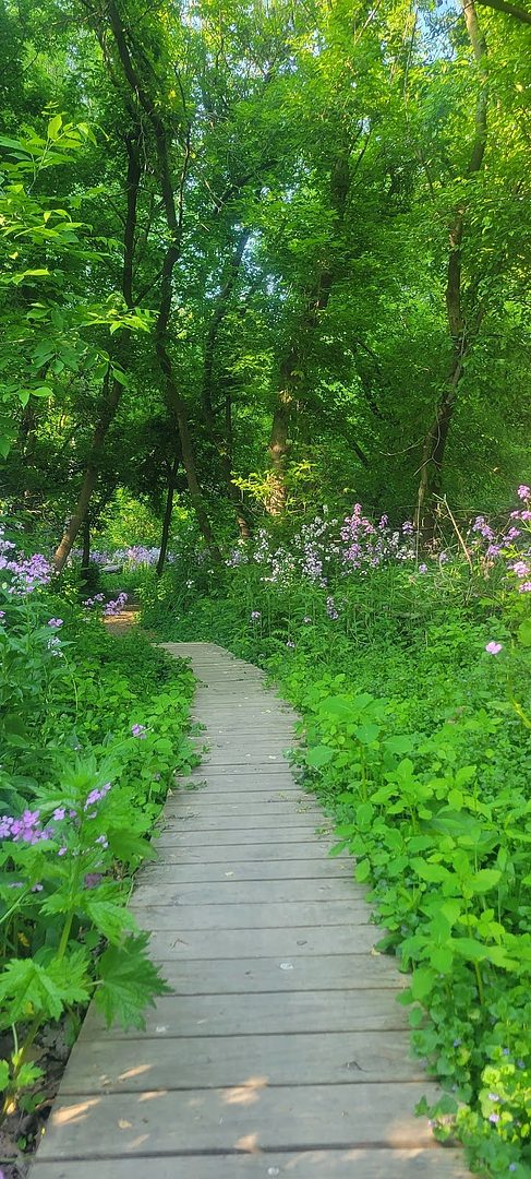  Michigan Sugar Trails