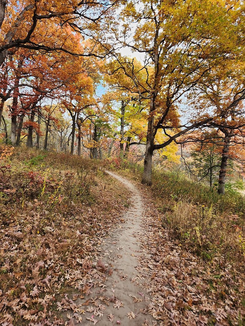 Greenwood Park Trails