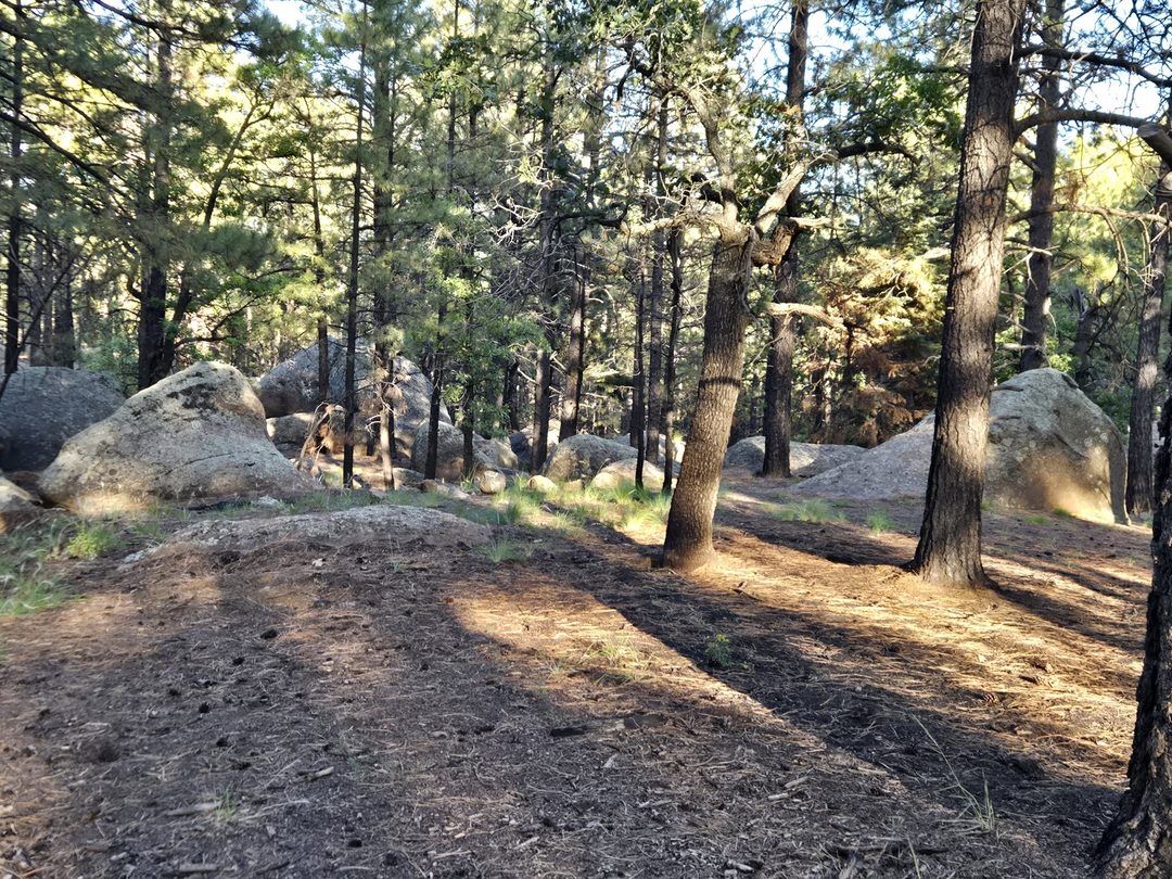 Elden Springs