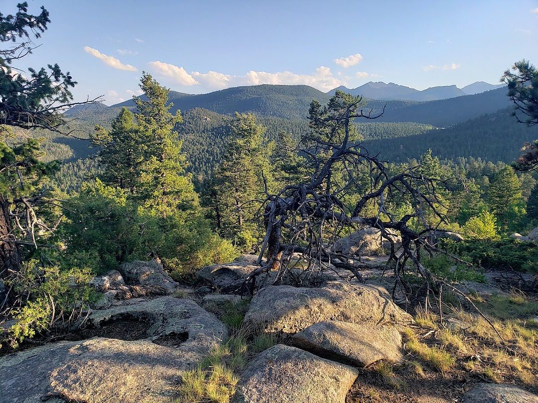 Saddle Trailhead Trailing