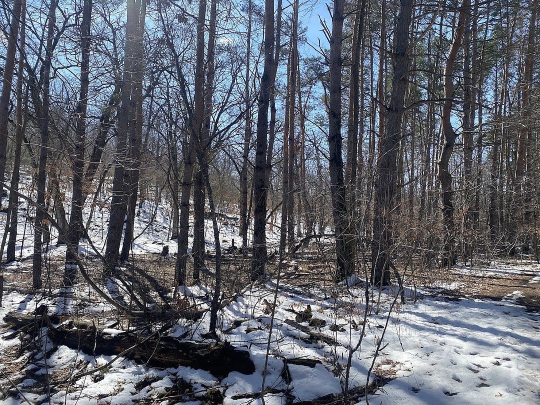 Osceola/Chisago Loop Trailhead