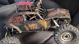 VW RatBug
