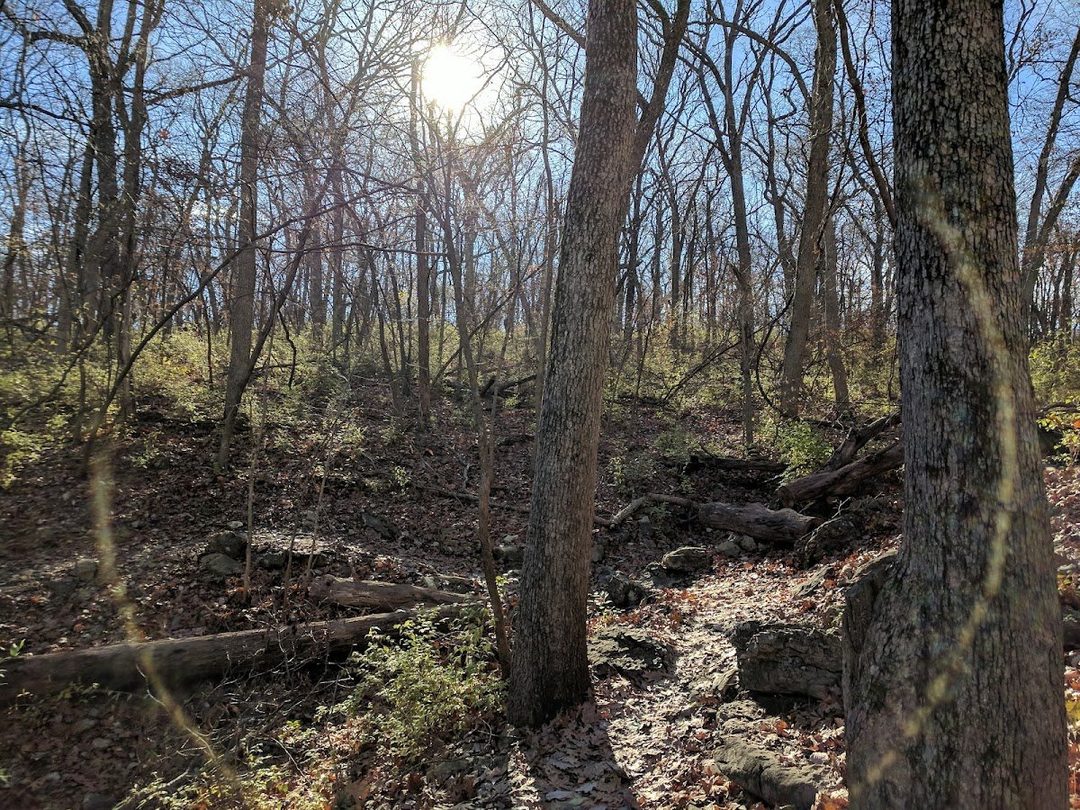 Swope trails