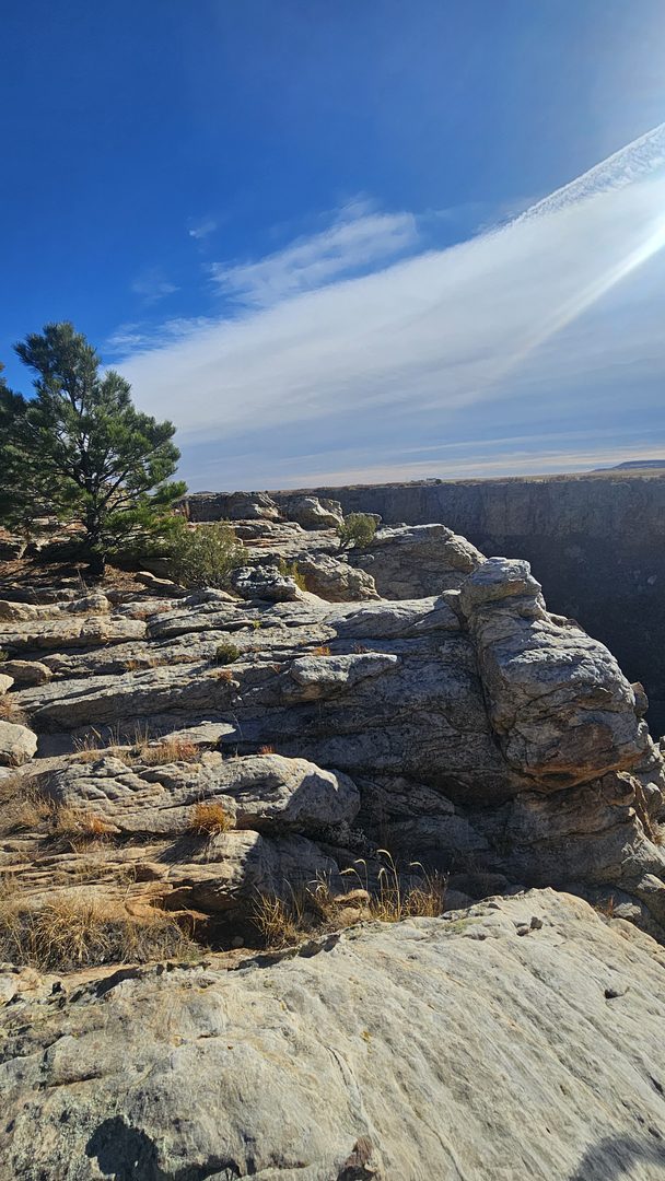 Canyon shelfs