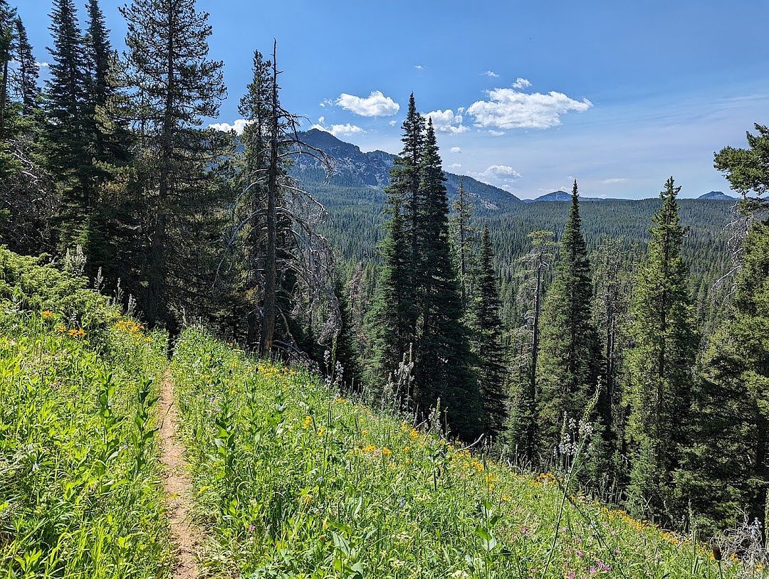 Bear Canyon