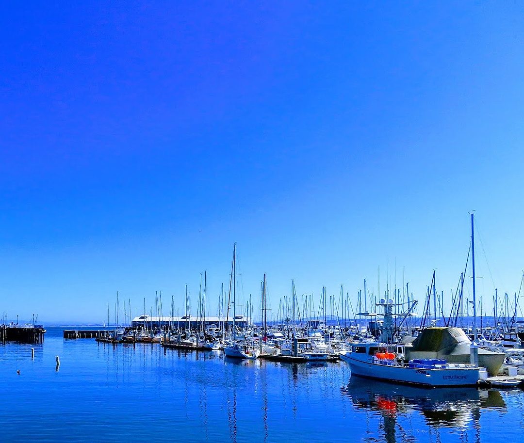 Cannery Row 