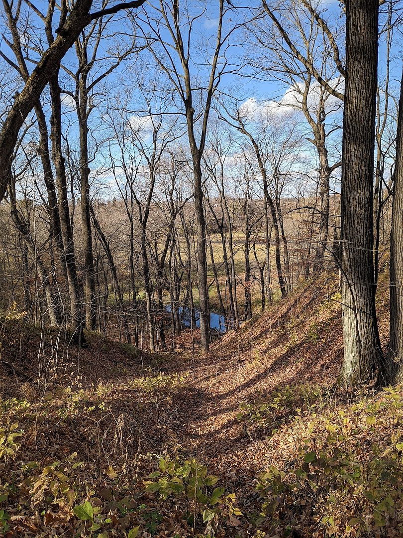 Wright County Park Forest Trail